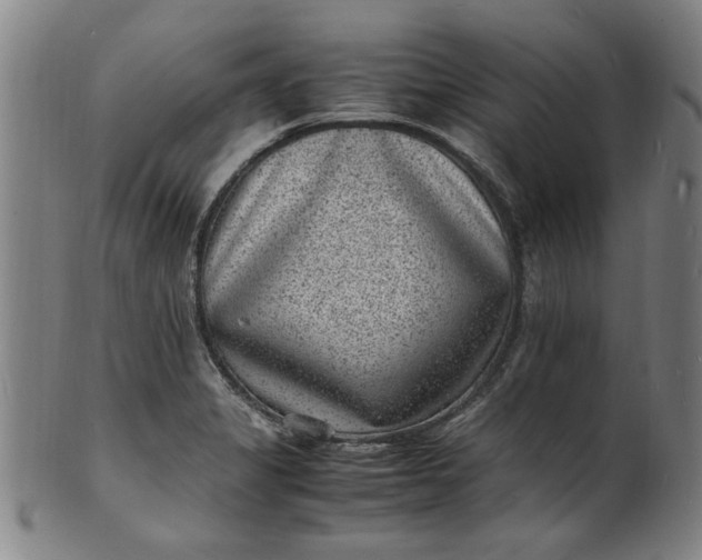 X0000101481325200807211350