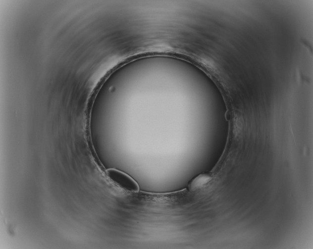 X0000101481326200807211350