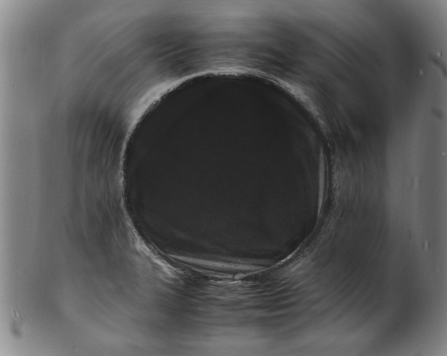 X0000101481327200807211350