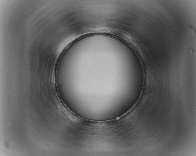 X0000101481328200807211350