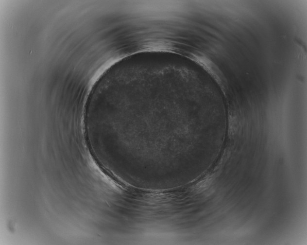 X0000101481331200807211350