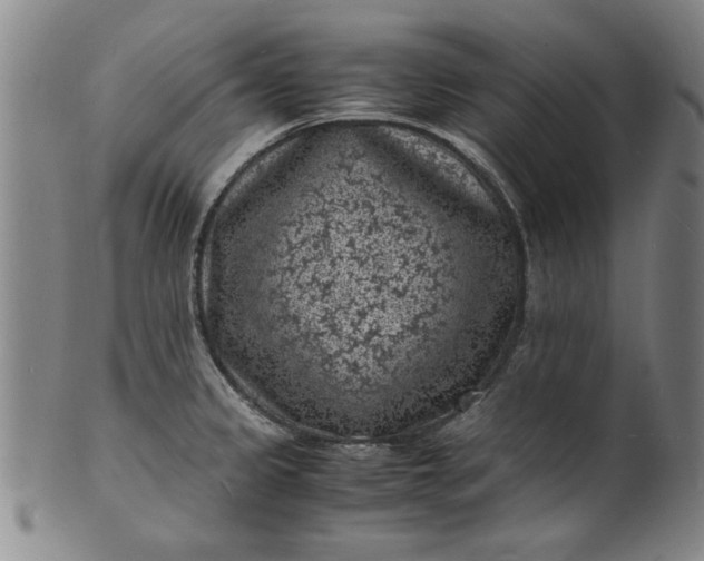 X0000101481333200807211350