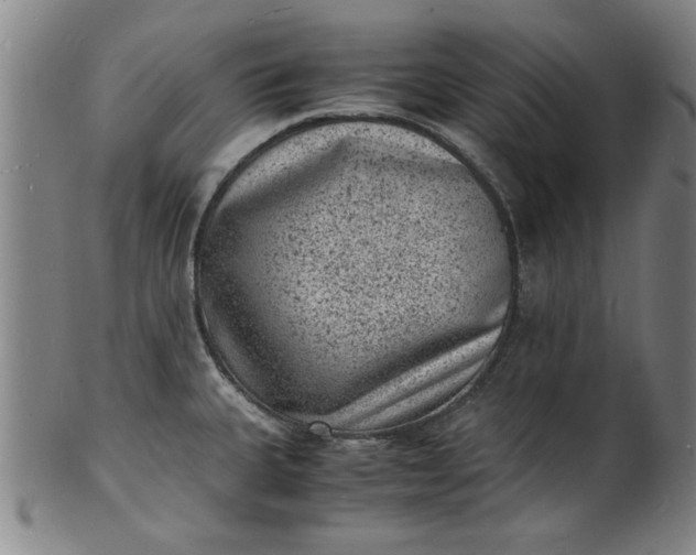 X0000101481335200807211350