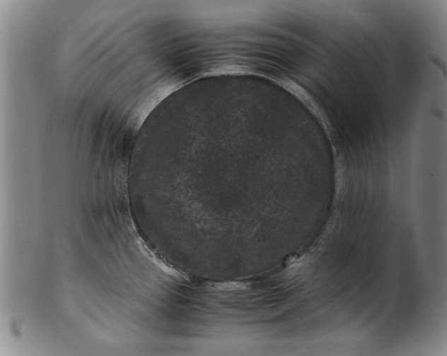 X0000101481337200807211350