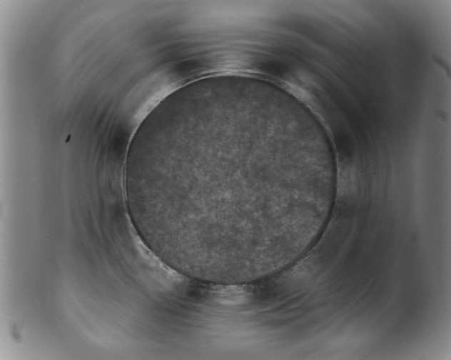 X0000101481338200807211350