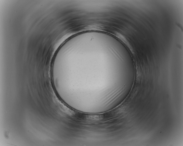 X0000101481339200807211350