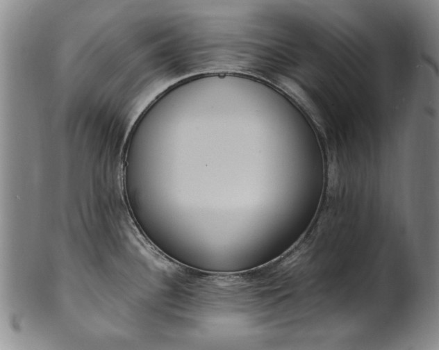 X0000101481340200807211350