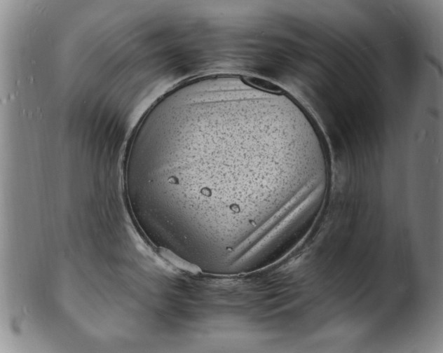 X0000101481341200807211350