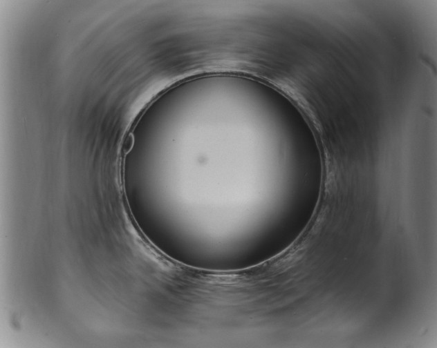 X0000101481342200807211350