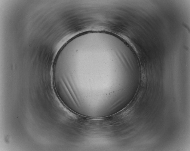 X0000101481343200807211350