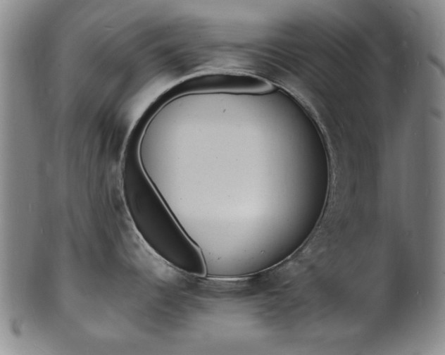 X0000101481344200807211350