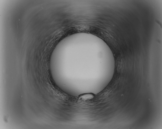 X0000101481345200807211350