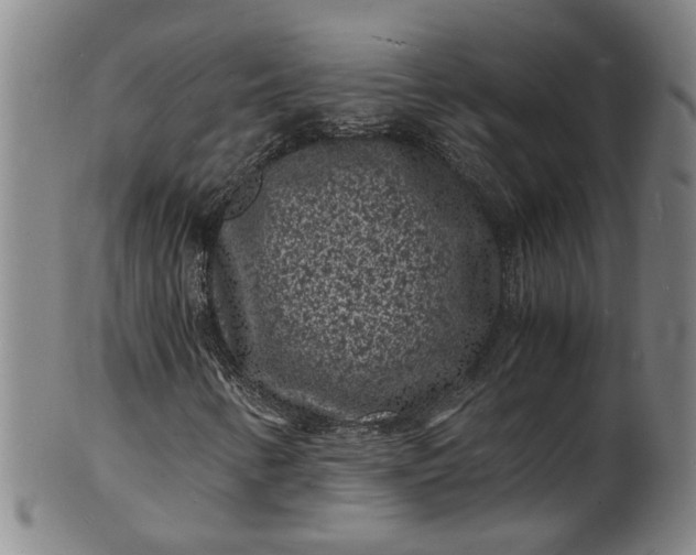 X0000101481346200807211350