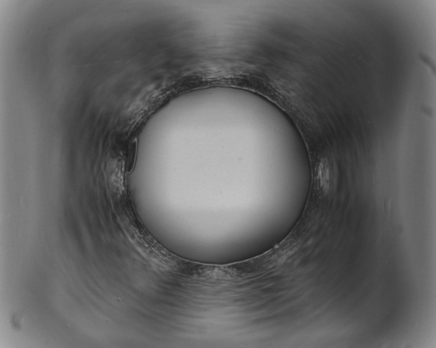 X0000101481348200807211350