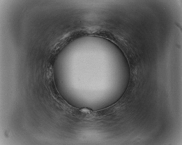 X0000101481349200807211350