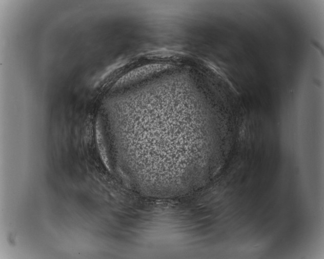 X0000101481350200807211350