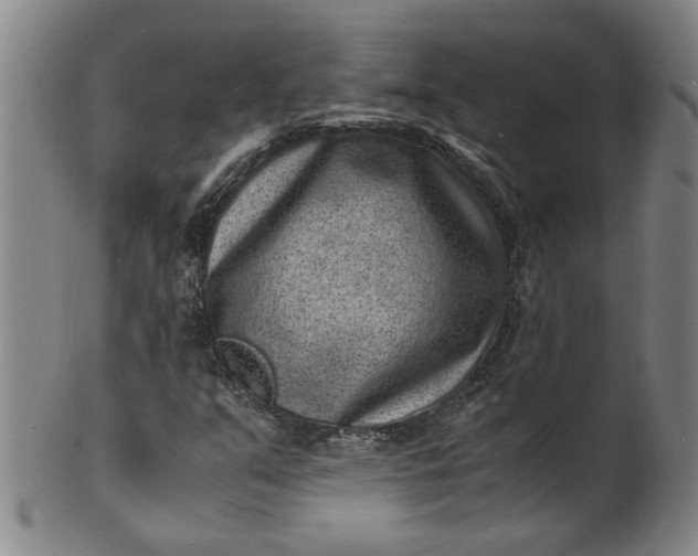 X0000101481351200807211350