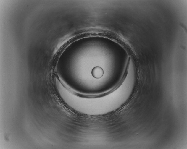 X0000101481352200807211349