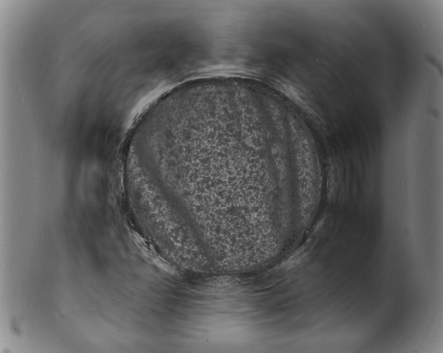 X0000101481358200807211349