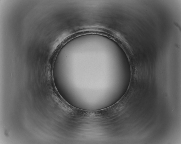 X0000101481360200807211349