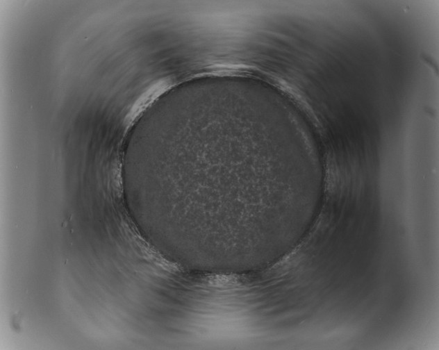 X0000101481362200807211349