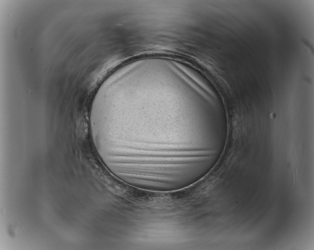 X0000101481363200807211349