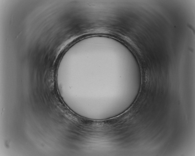 X0000101481364200807211349