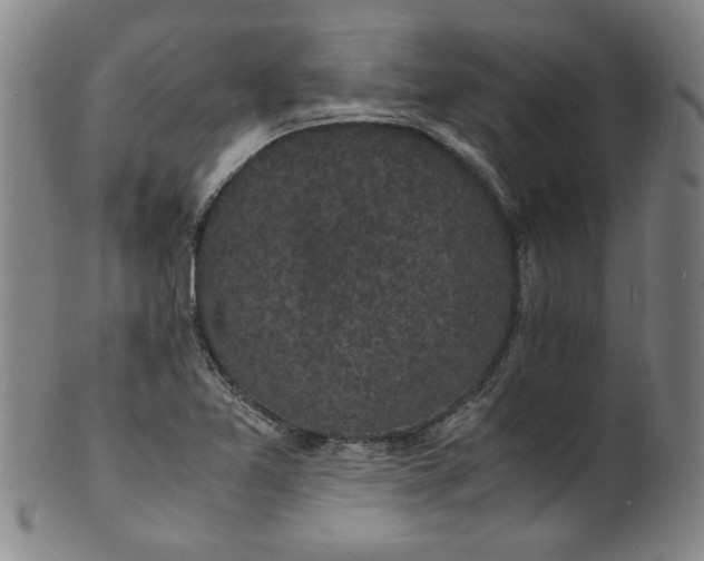 X0000101481365200807211349