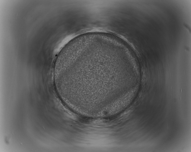 X0000101481367200807211349