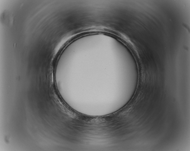 X0000101481368200807211349