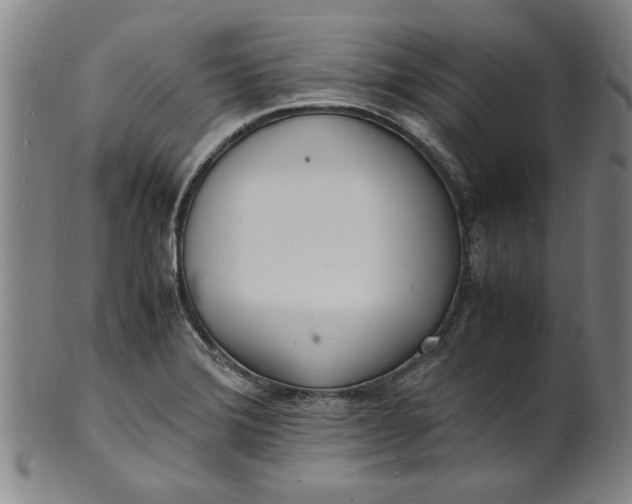 X0000101481372200807211349