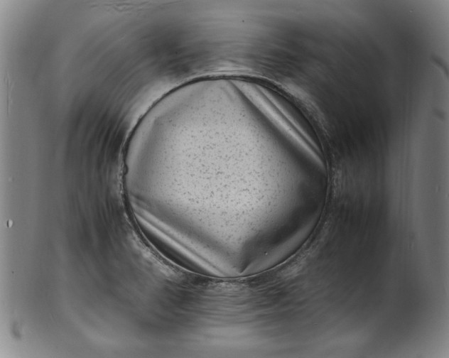 X0000101481374200807211349