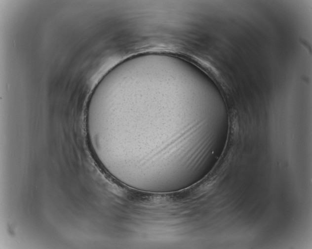 X0000101481375200807211349