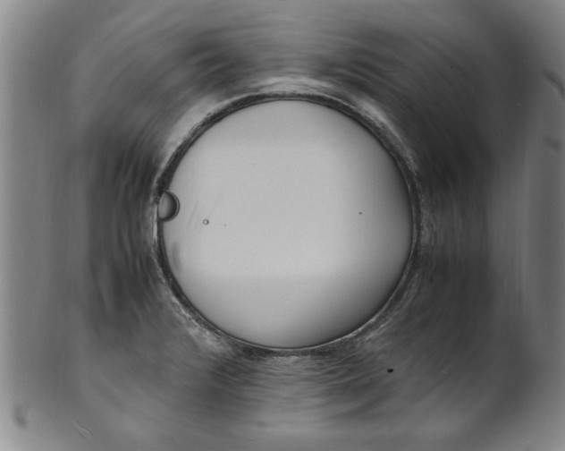 X0000101481376200807211349