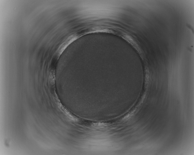 X0000101481377200807211349