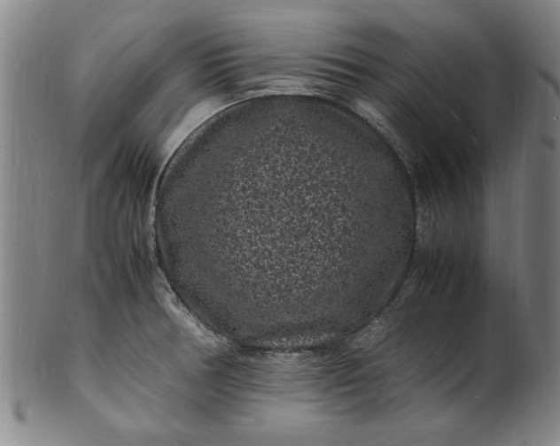 X0000101481378200807211349