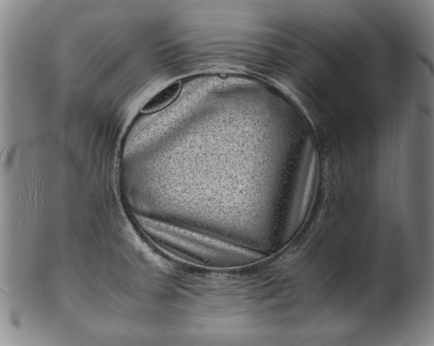 X0000101481379200807211349