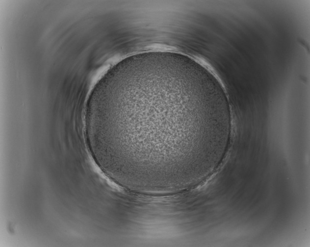 X0000101481381200807211349