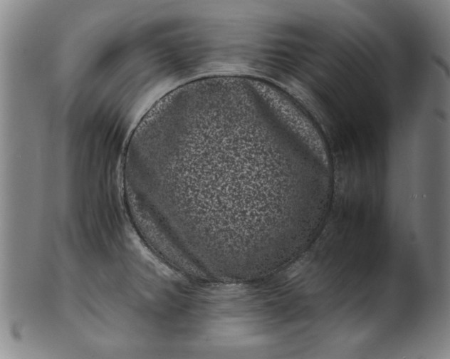 X0000101481382200807211349