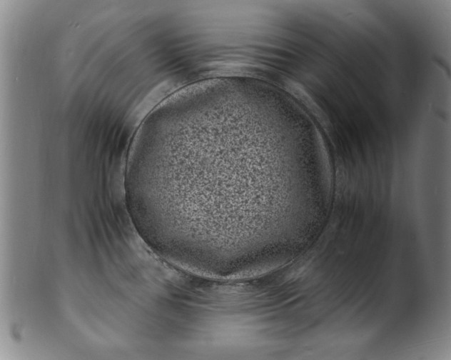 X0000101481386200807211349