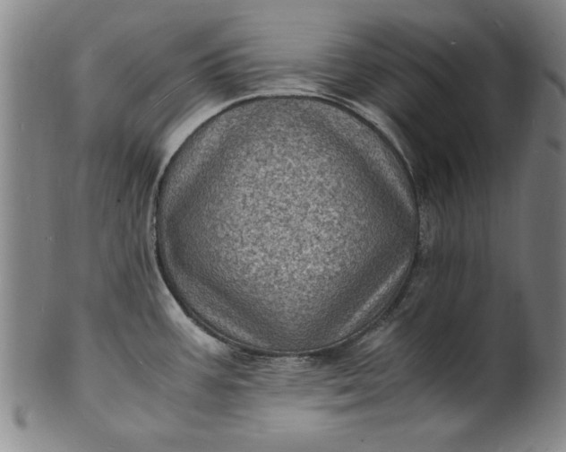 X0000101481387200807211349