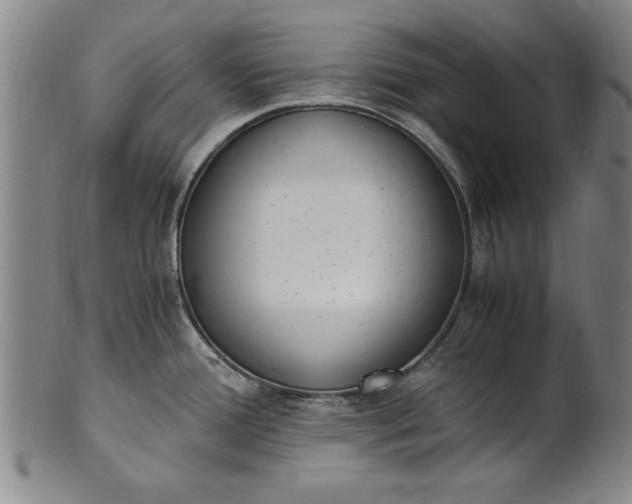 X0000101481388200807211349