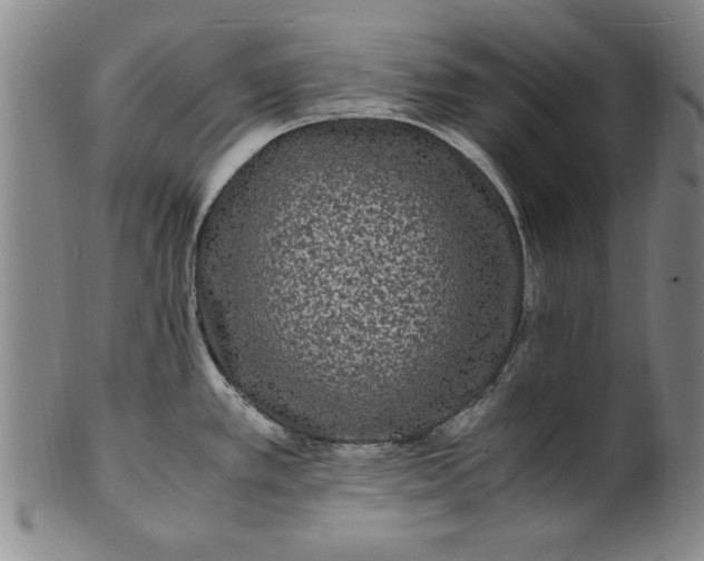 X0000101481389200807211349