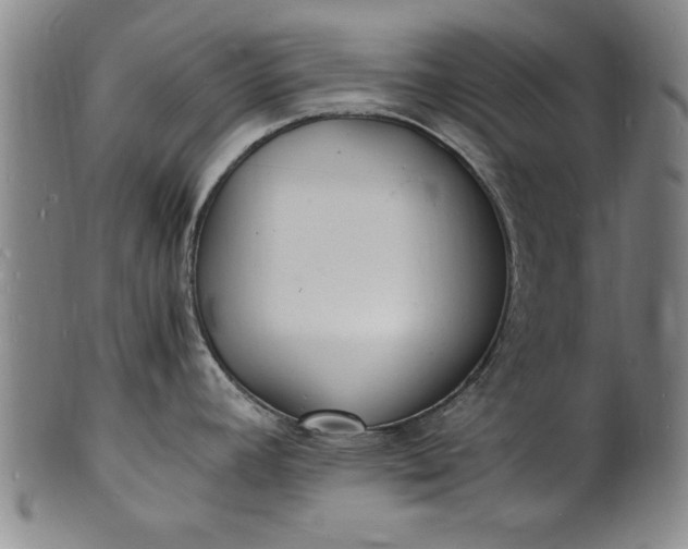 X0000101481392200807211349