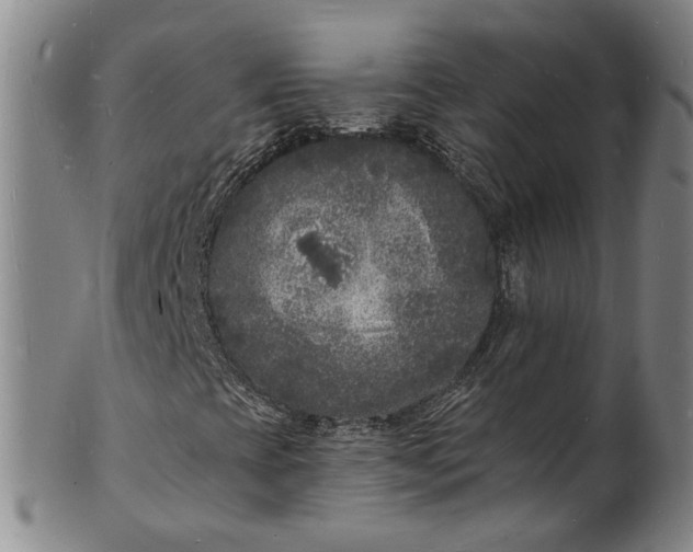 X0000101481393200807211348