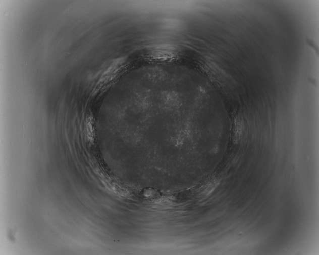 X0000101481394200807211348