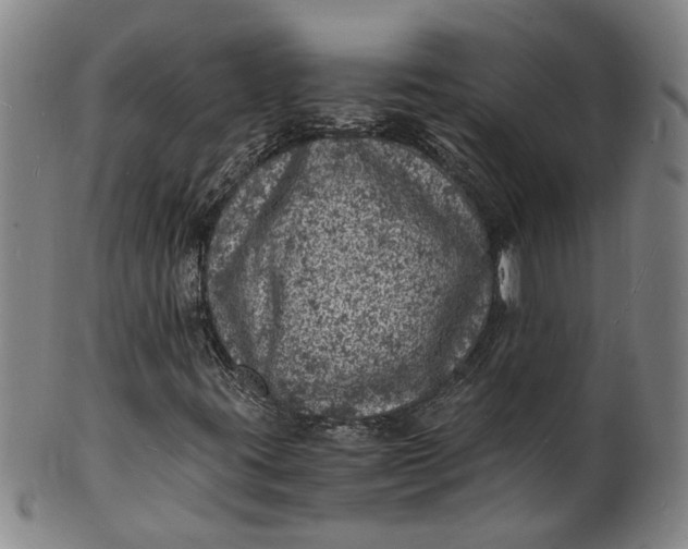 X0000101481395200807211348