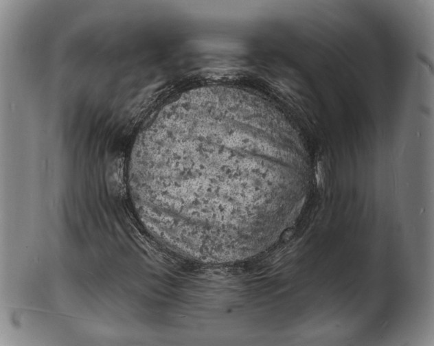 X0000101481396200807211348