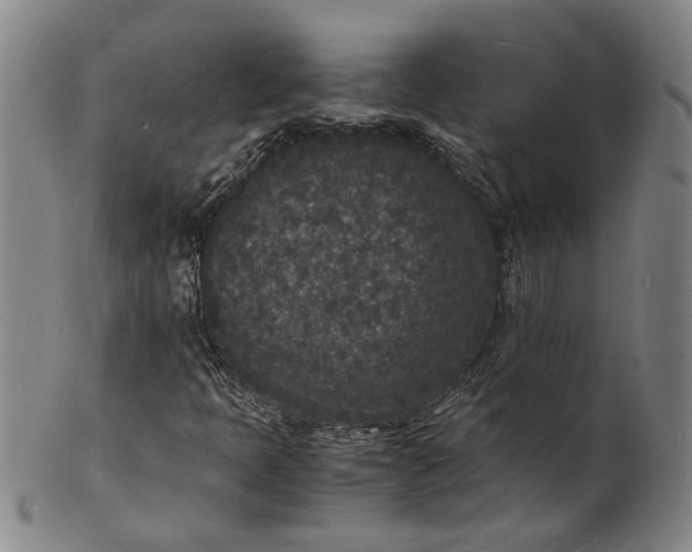 X0000101481397200807211348