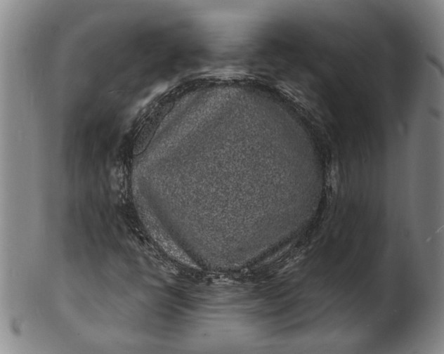 X0000101481398200807211348